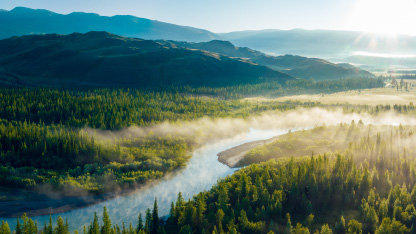 Early morning just after sunrise. Fog in the valley of the Chuya River. Coniferous forest in the fog. Kurai steppe. Summer landscape in Altai mountains, Siberia, Russia.