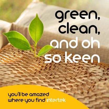 A sapling inside a cardboard box