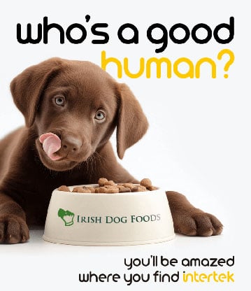 A puppy licking its snout next to a bowl of pet food